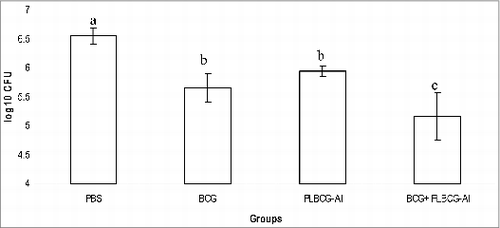 Figure 1. Determination of bacterial load in lungs of mice challenged with Mtb. Mice were challenged by intratracheal route 2 months after inoculation. Groups: PBS, BCG (106 CFU of BCG, one inoculation), PLBCG-Al [50 μg PLBCG +1 mg Alum (Alhydrogel, Sigma), 2 doses administered in a 3-week interval], and BCG+PLBCG-Al (106 CFU of BCG and 3 weeks later 50μg PLBCG-AL). The statistical analysis was performed by one-way ANOVA followed by Multiple Range test. Each bar represents the mean ± SD. Different letters denotes significant statistical difference between the groups. P < 0.001. (n=4 per group)