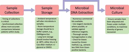 Figure 1. Summary guide for minimizing the introduction of biases when designing and choosing methods for the processing of stool samples for microbiome studies.