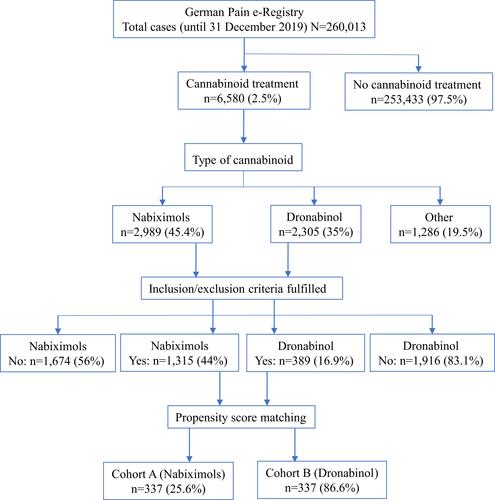 Figure 1 Patient flow chart.