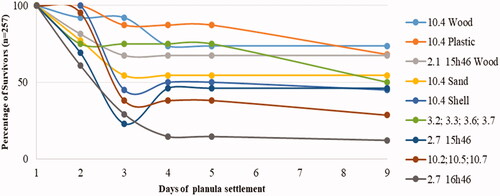 Figure 1. Rate of C. tagi polyps survival.