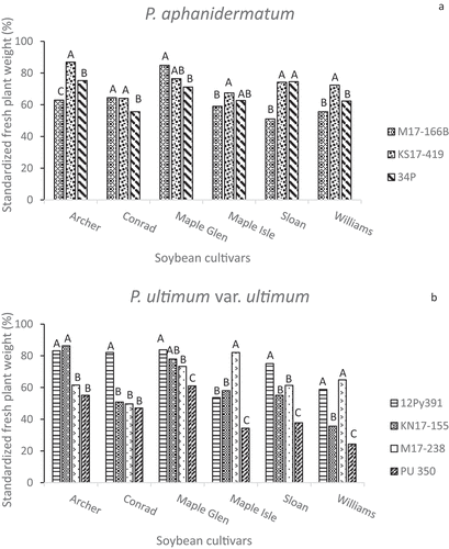 Fig. 4 Standardized fresh plant weights (%) in greenhouse inoculum layer assays with 14 Pythium isolates and six soybean cultivars. Different letters indicate significantly different effects of isolates on individual cultivars based on Tukey’s multiple comparison tests (α = 0.05) of log-transformed data. Back-transformed data are presented. Pythium spp. represented are (a) P. aphanidermatum, (b) P. ultimum var. ultimum, (c) P. spinosum, (d) P. irregulare, and (e) P. sylvaticum.