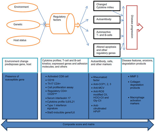 Figure 2 Proposed scheme of biological events in the development of early arthritis, showing probable location of potential biomarkers in the pathological process.