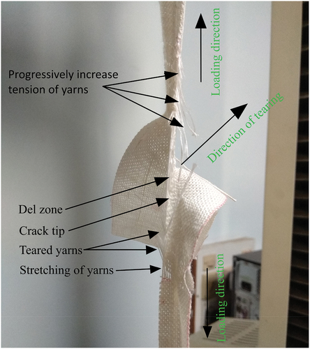 Figure 4. Tearing failure of fabric under single rip tear test method.