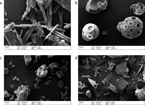 Figure 2. SEM images of raw IBG (a), HP-β-CD (b), physical mixtures (c), and IBG/HP-β-CD inclusion complexes (d).