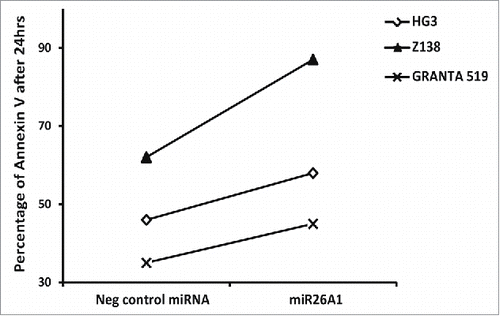 Figure 5. Overexpression of miR26A1 induces apoptosis in CLL and MCL cell lines. The percentage of Annexin V-positive cells analyzed using FACS for control and miR26A1 mimic miRNA transfected cell lines. The percentage of Annexin V positive cells show the average of 2 independent sets. The Annexin V levels were measured after 24, 48, and 72 h.