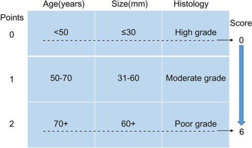 Figure 2 Patient prognostic score: risk stratification.Notes: Data from Smith et al.Citation12