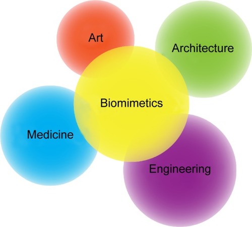 Figure 1 The area of applications in biomimetics.