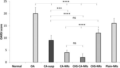 Figure 6. OARSI score of different studied groups after 8 weeks of OA induction. *: p < .05, **: p < .01, ***: p < .001, ****: p < .0001 and ns: non-significant.