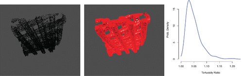 Figure 23. Left panel: Point cloud (in 3D) used to sample a polymeric scaffold. Center panel: α-shape derived from the point cloud, revealing a stack of tubular structures. Right panel: Probability density estimate for the tortuosity ratio.