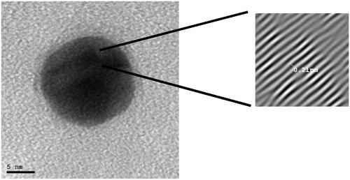 Figure 4. High resolution transmission electron microscope image of the crystal lattice of gold nanoparticles.