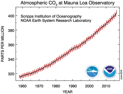 FIGURE 1 CO2 concentration at Mauna Loa, Hawaii