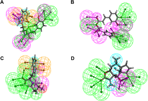 Figure 6 The pharmacophores of (A) ZINC000014824077, (B) ZINC000014774634, and (C) ZINC000004544883, and (D) Helenalin.