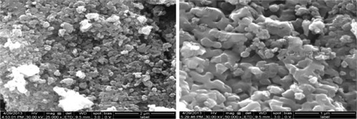 Figure 4 SEM images of TiO2 powder sintered at 900°C for 2 hours (different magnification).Abbreviations: SEM, scanning electron microscope; TiO2, titanium dioxide.