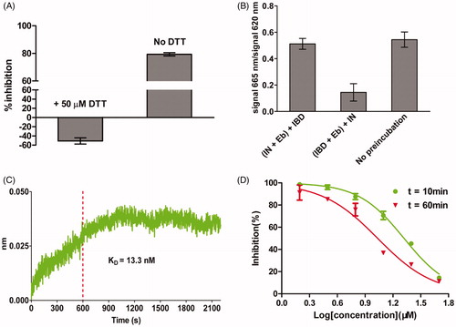 Figure 4. Determination of the inhibition mode of ebselen on LEDGF/p75-IN interaction. (A) The inhibition of ebselen on LEDGF/p75-IN interaction was abolished in the presence of 50 µM DTT. (B) Ebselen inhibited the LEDGF/p75-IN interaction by binding to LEDGF/p75. (C) Association/dissociation kinetics of ebselen for LEDGF/p75 determined by Octet. (D) Time-dependent inhibition of the LEDGF/p75-IN interaction with ebselen. The data are representative of results obtained in three independent experiments. Each point is carried out in triplicate; error bars show the mean ± SD.