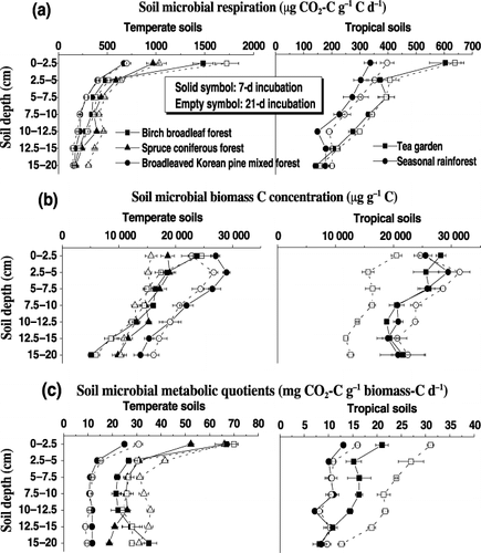 Figure 1  Effects of tree species and soil depths on (a) microbial respiration, (b) microbial biomass C and (c) metabolic quotient in temperate and tropical soils during the 7-day (▪) and 21-day incubations (□). Error bars are the standard error of three replicates.