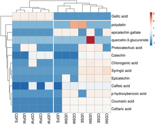 Figure 4. Heatmap showing phenolic compounds distribution and concentration among twelve date samples. Red boxes’ mean concentrations are higher than the mean value among samples. Blue boxes mean lower concentrations.