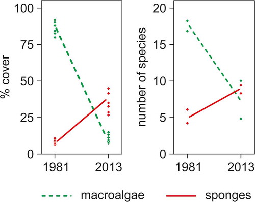 Figure 4. Shift from algal dominance to sponge dominance, both in terms of substrate cover (left panel) and species richness (right panel), on Kos reefs between 1981 and 2013.