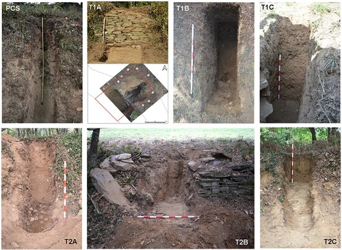 Figure 4. View of the seven trenches excavated.