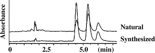 Fig. 2. HPLC features of re-chromatogram of naturally obtained and synthesized compound 1.