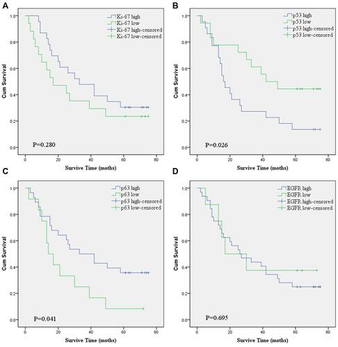 Figure 4 Kaplan-Meier OS curves of the patients with BSCC according to the corresponding biomarker expression. (A) Ki-67 expression (low vs high); (B) p53 expression (low vs high); (C) p63 expression (low vs high); (D) EGFR expression (low vs high).