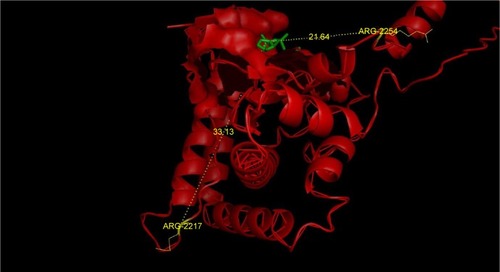 Figure 6 Position of the Arg2217 and Arg2254 found in the disallowed region in Ramachandran plot.