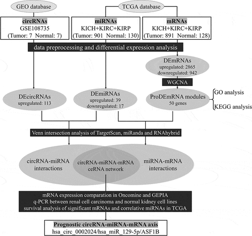 Figure 1. Flow chart of the present study