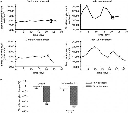 Figure 6.  Effect of stress on BL counts in both control and indomethacin-treated rats. (A) Representative graph showing the time course of BL counts in an individual rat of each group. In each graph, the time that stress/sham exposure was initiated is indicated (rectangle in unstressed rats; oval in stressed rats). (B) Change in BL count 5 days after stress exposure expressed as percent of BL count recorded on the first day of the stress/sham protocol. Data are mean ± SEM, n = 13–16 animals/group. Stress significantly decreased BL levels (two-way ANOVA, p < 0.0001). This decrease was not related to the inflammatory state in indomethacin-treated rats (two-way ANOVA, p = 0.1125). ***p < 0.001 vs. control-nonstressed group; +++p < 0.001 vs. indomethacin-nonstressed group.