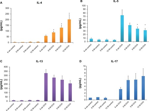 Figure 3 Concentrations of Th2 cytokines (IL-4, A; IL-5, B; IL-13, C) in BAL fluid and IL-17 (D) in lung tissue according to age in the acute asthma model.