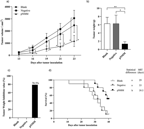 Figure 5. Protective efficacy of the DNA vaccine in a B16-NMM+-tumor model.