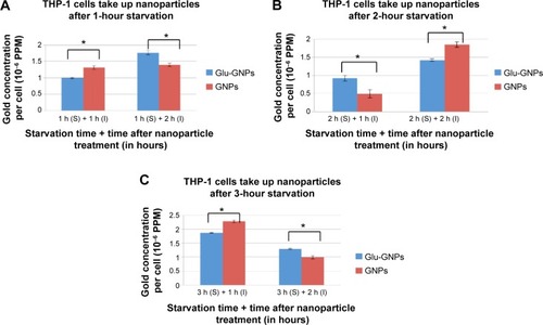 Figure 7 Nanoparticle uptake by THP-1 cells with different starvation durations.Notes: (A) Averaged uptake by THP-1 cells with 1 hour of starvation; (B) 2 hours of starvation; and (C) 3 hours of starvation. Note that on the horizontal axes of these figures, the notation “S” stands for “starvation” and “I” stands for “incubation after nanoparticle treatment”. For instance, notation “1 h (S) + 1 h (I)” denotes that cells were starved for 1 hour, treated by nanoparticles and then incubated for 1 hour. *Indicates that a significant difference (P<0.05) was shown when comparing gold concentration of cells treated with Glu-GNPs or GNPs.Abbreviations: GNPs, gold nanoparticles; Glu-GNPs, pegylated glucose coated GNPs.