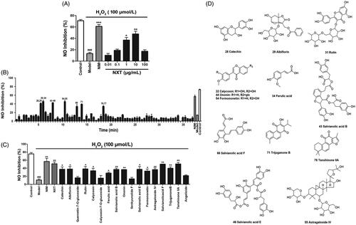 Figure 4. Bioactivity analysis of NXT on anti-NO. (A) Effect of NXT on NO activation in H2O2-stimulated EA hy926 cells. (B) The screening of potential NO inhibitory active ingredients in NXT. (C) Verification the NO inhibition active ingredients in NXT. (D) Chemical structures of the NO inhibitory active ingredients in NXT. The results are the mean ± SEM (n = 6 per group); ###p < 0.001 versus the control group; *p < 0.05, **p < 0.01, ***p < 0.001, versus the model group.