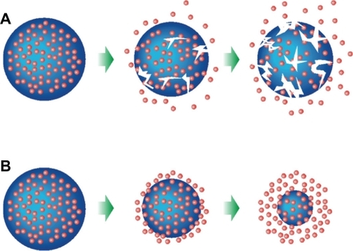 Figure 3 Degradation mechanisms of biodegradable polymeric nanoparticles: A) bulk erosion, B) surface erosion.