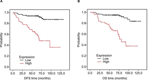 Figure 5 Association of HORMAD1 with prognosis in 240 TNBC patients from SYSUCC (SYSUCC cohort).Notes: (A) DFS curves for 240 TNBC patients with high or low HORMAD1 levels. (B) OS curves for 240 TNBC patients with high or low HORMAD1 levels. Red line = high HORMAD1 group, black line = low HORMAD1 group.Abbreviations: DFS, disease-free survival; OS, overall survival; SYSUCC, Sun Yat-sen University Cancer Center; TNBC, triple-negative breast cancer.