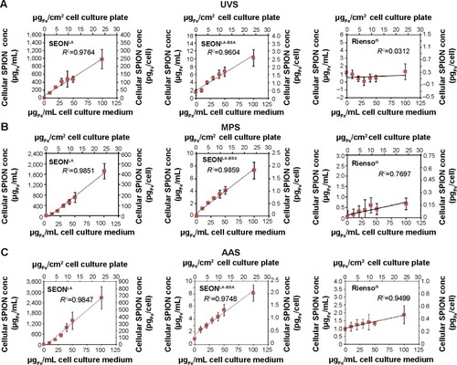 Figure 2 Concentration measurements of cellular SPIONs.Notes: (A–C) HUVECs were cultured for 48 hours in medium containing 0–100 µgFe/mL SPIONs. The measured cellular SPION concentration is given in pgFe/cell and µgFe/mL cell lysate and is correlated to the SPION concentration in medium indicated as µgFe/mL medium and µgFe/cm2 cell culture plate surface. Cellular SPION concentrations were measured with (A) UVS, (B) MPS, and (C) AAS. The columns present data acquired with SEONLA (left panel), SEONLA-BSA (middle panel), and Rienso® (right panel). Data are expressed as the mean ± standard error (n=3 with technical triplicates). R2 represents the coefficient of determination.Abbreviations: SPION, superparamagnetic iron oxide nanoparticle; UVS, ultraviolet spectrophotometry; MPS, magnetic particle spectroscopy; AAS, atomic adsorption spectroscopy; SEONLA, lauric acid-coated nanoparticles; SEONLA-BSA, lauric acid/albumin bovine serum hybrid-coated nanoparticles; HUVECs, human umbilical vein endothelial cells.