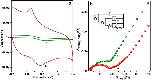 Figure 6. (a) CV output of 1 mM K4 [Fe (CN)6], curve a for UGCPS and curve b for PGMGCPS in 0.1 M KCl, (b) Nyquist plots, curve a for UGCPS and curve b for PGMGCPS with an equivalent electric circuit.