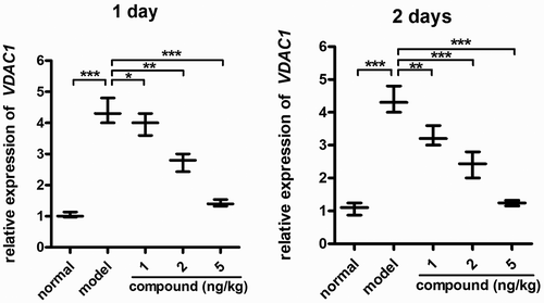 Figure 7. Remarkably downregulated VDAC1 relative expression levels in β-cells. The animal model of diabetes was created and then the treatment was performed with the compound at 1 , 2, and 5 mg/kg concentration. The real-time RT-PCR was implemented, and the VDAC1 relative expression levels in β-cells were accomplished