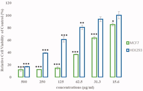 Figure 5. Cytotoxicity measurement of MCF-7 (Tumor cell line) and HEK293 (Non-tumor cell line) after 24 h incubation with AgClNPs. Data are represented as mean ± SD. Asterisks (*) indicate a significant difference with the control group (*p < .05, **p < .01, ***p < .001).