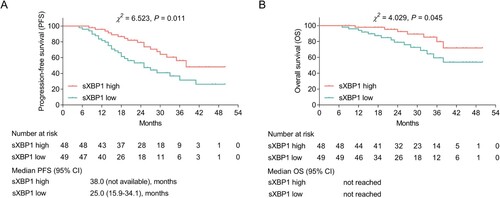 Figure 4 . sXBP1 high was linked with longer PFS and OS. Association of sXBP1 (high vs. low) with PFS (A) and OS (B) in MM patients. MM patients were divided into sXBP1 high and sXBP1 low according to the median value of sXBP1 mRNA expression. sXBP1, spliced X-Box binding protein 1; PFS, progression-free survival; OS, overall survival; MM, multiple myeloma.