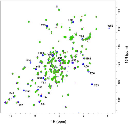 Figure 2. 2D 1H-15N HSQC spectra of the reduced form of uniformly labelled 15 N-PDIA1a apo-protein (blue) and protein–ligand complex with C-3399 at 1:1 ratio (red) and 1:2 ratio (green) in 10 mM AcOH-NaOH pH 5.1, 50 mM NaCl.