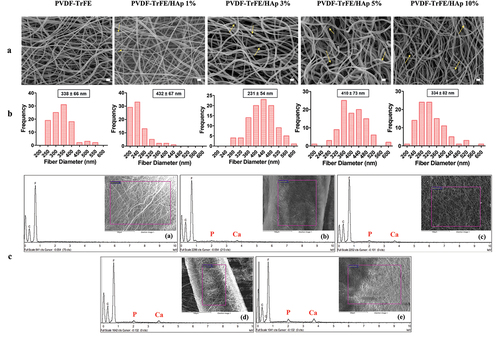 Figure 1. SEM micrographs (a) and respective fiber diameter distribution histograms (b) of the different electrospun PVDF-TrFE and PVDF-TrFE/HAp nanofibers. The yellow arrows identify HAp aggregates present in each fiber condition. Scale bar: 1 μm. Elemental composition analysis (c) of the generated composite scaffolds: PVDF-TrFE fibers without HAp (a) and PVDF-TrFE fibers functionalized with 1% (b), 3% (c), 5% (d) and 10% (e) HAp. EDX spectra were collected on non-coated regions of the fibrous mats (to improve the acquisition of phosphorus peaks). SEM images of the spots where EDX analysis was conducted are presented inside the corresponding EDX spectrograms. The HAp-related calcium (Ca) and phosphorus (P) peaks detected in the EDX spectra of the different samples are highlighted in red.