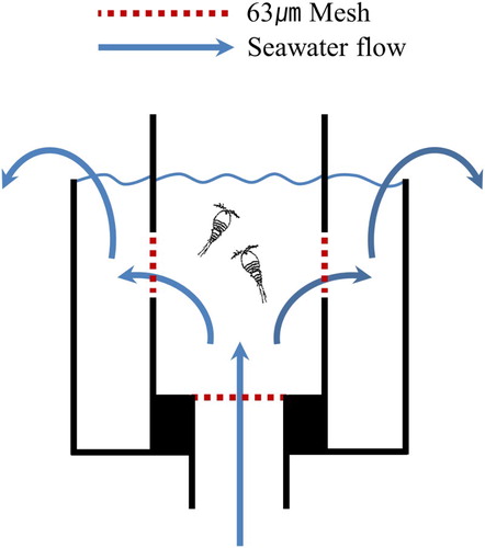 Figure 2. Experimental chamber set.