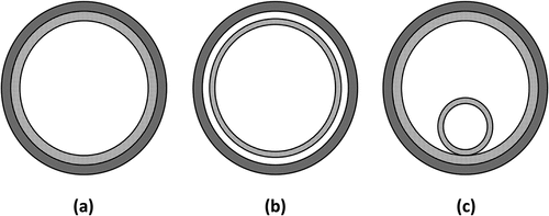 Fig. 5. (a) Homogeneous, (b) concentric annular gap, and (c) artery wick geometries.