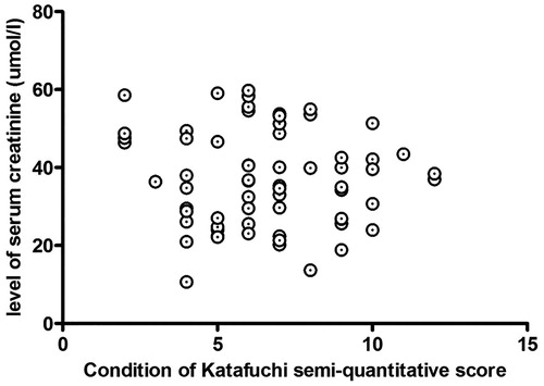 Figure 3. Relationship between Scr level and the Katafuchi semiquantitative score.