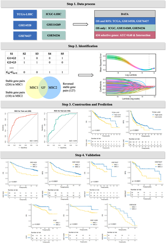 Figure 3 The development of a robust classification predictor depends on four steps. Step 1. Datasets with prognostic information were retrieved and processed, and 634 genes with AUC >0.6 between tumor and normal samples were selected. Step 2. Construction of gene pairs, identification of 130 stable reversed gene pairs, and further selection relying on LASSO regression model. Step 3. Construction and validation of the LASSO logistic model in the train and test cohorts. Step 4. Prognosis prediction in five cohorts with prognosis information (GSE14520, GSE76427, GSE114269, GSE54236, ICGC).