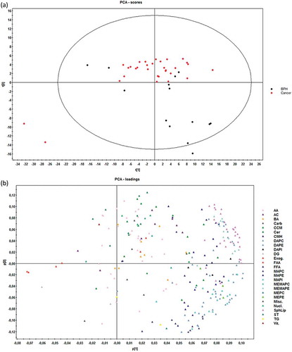 Figure 4. Score (a) and loadings (b) plots of PCA model for the comparison PCa (n = 31) vs BHP (n = 14).Dots in score plot (A) have been coloured depending on its group (PCa or BHP). Markers in loadings plot (B) have been coloured depending on metabolite family. AA (amino acids), AC (acyl carnitines), BA (bile acids), Carb (carboxylic acids), CCM (derivative carboxilic acids), Cer (ceramides), CMH (monohexosylceramides), DAPC (diacylglycerophosphocholines), DAPE (diacylglycerophosphoethanolamines), DAPI (diacylglycerophosphoinositol), DG (diacylglycerols), Exog. (exogenous), FAA (fatty amides), FFA (non-esterified fatty acids), MAPC (1-monoacylglycerophosphocholine), MAPE (monoacylglycerophosphoethanolamine), MAPI (monoacylglycerophosphoinositol), MEMAPC (1-ether, 2-acylglycerophosphocholine), MEMAPE (1-ether, 2-acylglycerophosphoethanolamine), MEPC (1-monoetherglycerophosphocholine), MEPE (1-monoetherglycerophosphoethanolamine). See more details of the nomenclature in supplemental material.