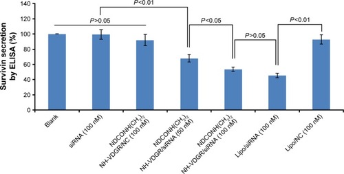 Figure 18 Survivin protein expression of MCF-7 cells treated with NDCONH(CH2)2NH-VDGR/survivin-siRNA. Data are presented as the average ± SD (n=3).Abbreviations: siRNA, small interfering RNA; SD, standard deviation; ELISA, enzyme-linked immunosorbent assay; NC, normal control.