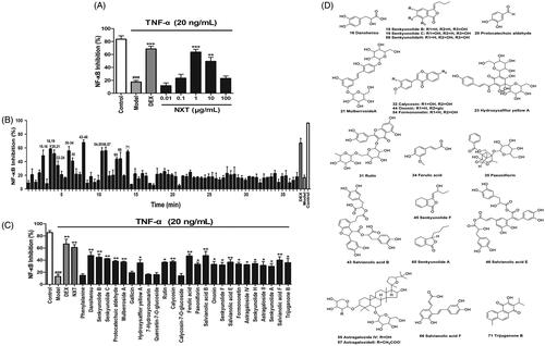 Figure 2. Bioactivity analysis of NXT on anti-NF-κB. (A) The inhibitory effect of NXT on NF-κB in 293 T cells. (B) The screening of potential NF-κB inhibitory active ingredients in NXT. (C) Verification the NF-κB inhibition active ingredients in NXT. (D) Chemical structures of the NF-κB inhibitory active ingredients in NXT. The results are the mean ± SEM (n = 6 per group); ###p < 0.001 versus the control group; *p < 0.05, **p < 0.01, ***p < 0.001, versus the model group.