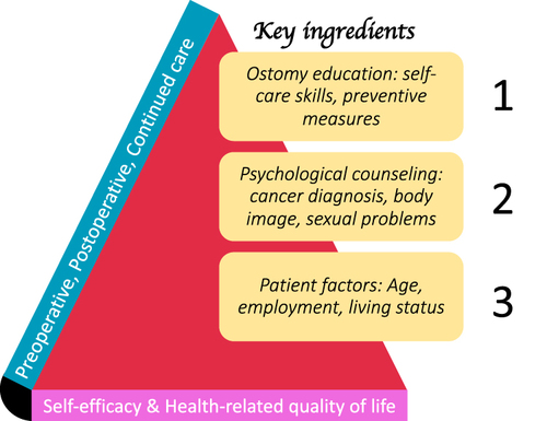 Figure 5 Triangle of Perioperative care for patients with urostomy. Three major ingredients include ostomy-related education, psychological counseling and patient’s factors. Point of intervention starts from preoperative to postoperative in the form continued care to enhance the self-efficacy and quality of life in these patients.