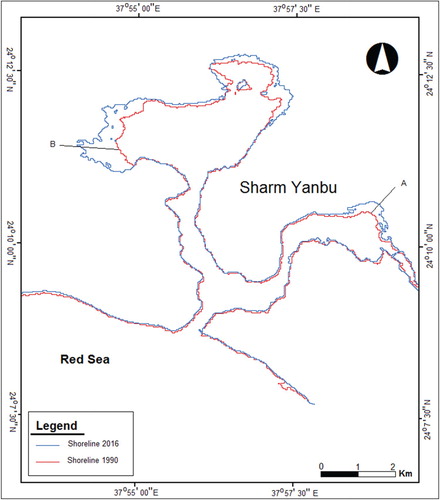 Figure 6. Changes in the shoreline between 1990 and 2016.