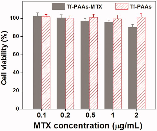 Figure 9. Cytotoxicity of Tf-PAAs and Tf-PAAs-MTX to 3T3 cells (37 °C and 5% CO2, n = 5).